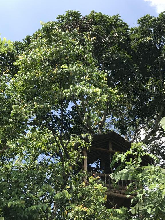 ホテル Plantation Retreat Pathadumbara エクステリア 写真