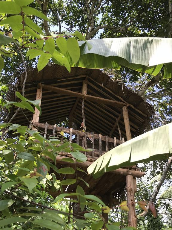 ホテル Plantation Retreat Pathadumbara エクステリア 写真
